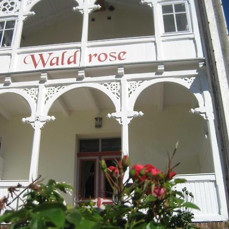 Pension Waldrose Sellin  المظهر الخارجي الصورة